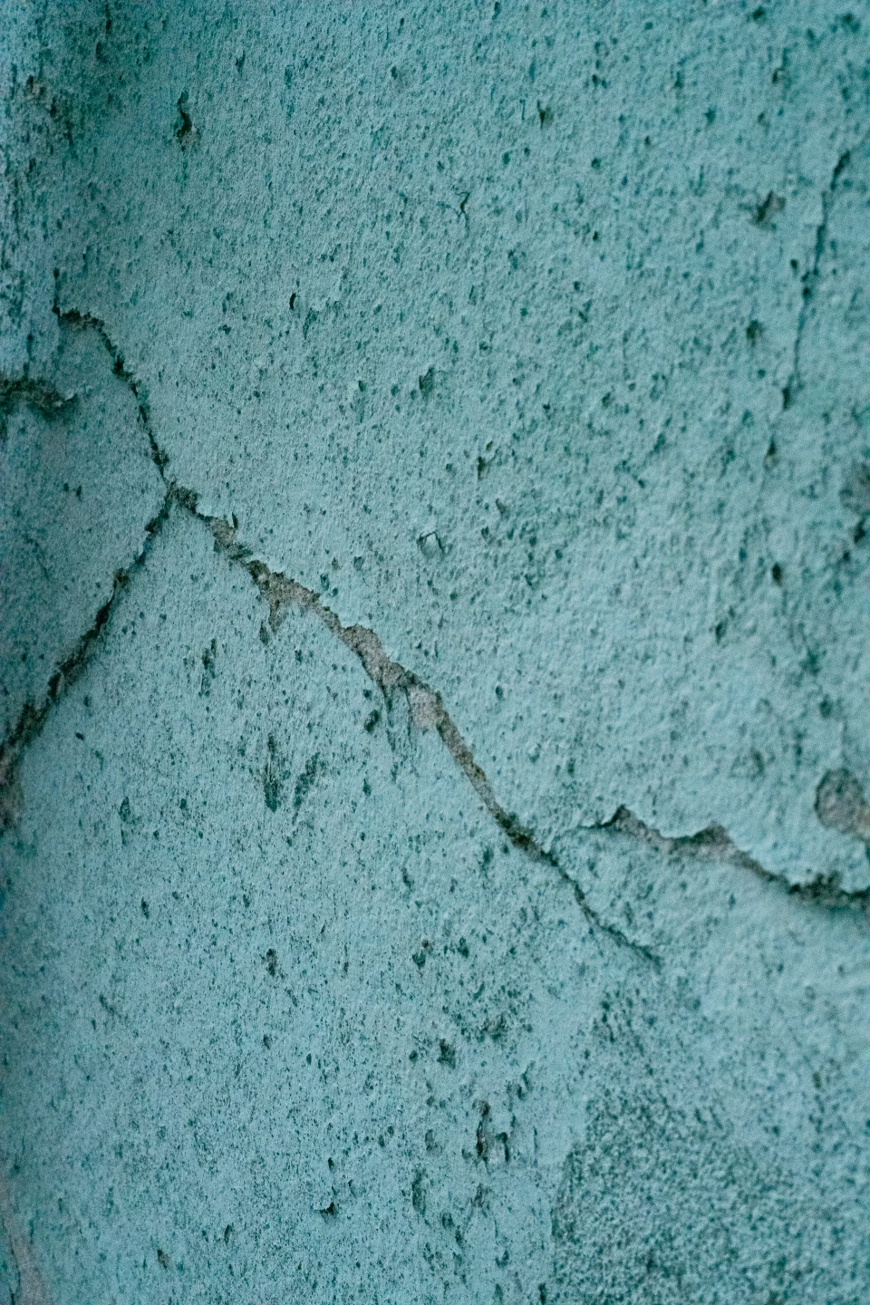 DSC01668